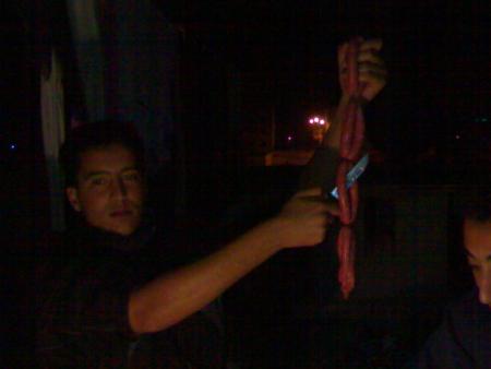 josrf gazar