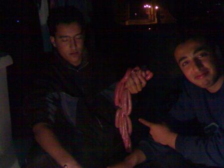 josef et mounir